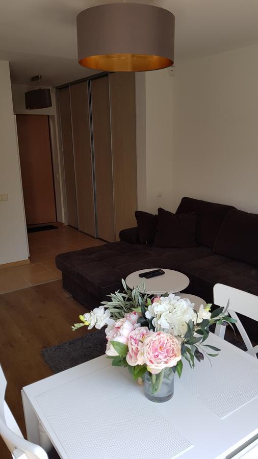 Cozy Garden Free Parking Apartman Vilnius Kültér fotó